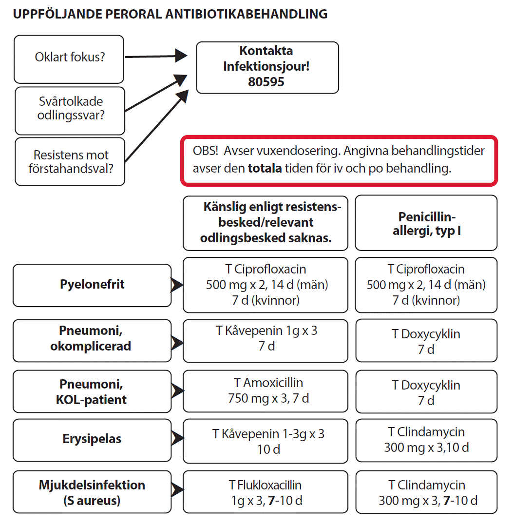 Flödesschema uppföljning peroral antibiotikabehandling