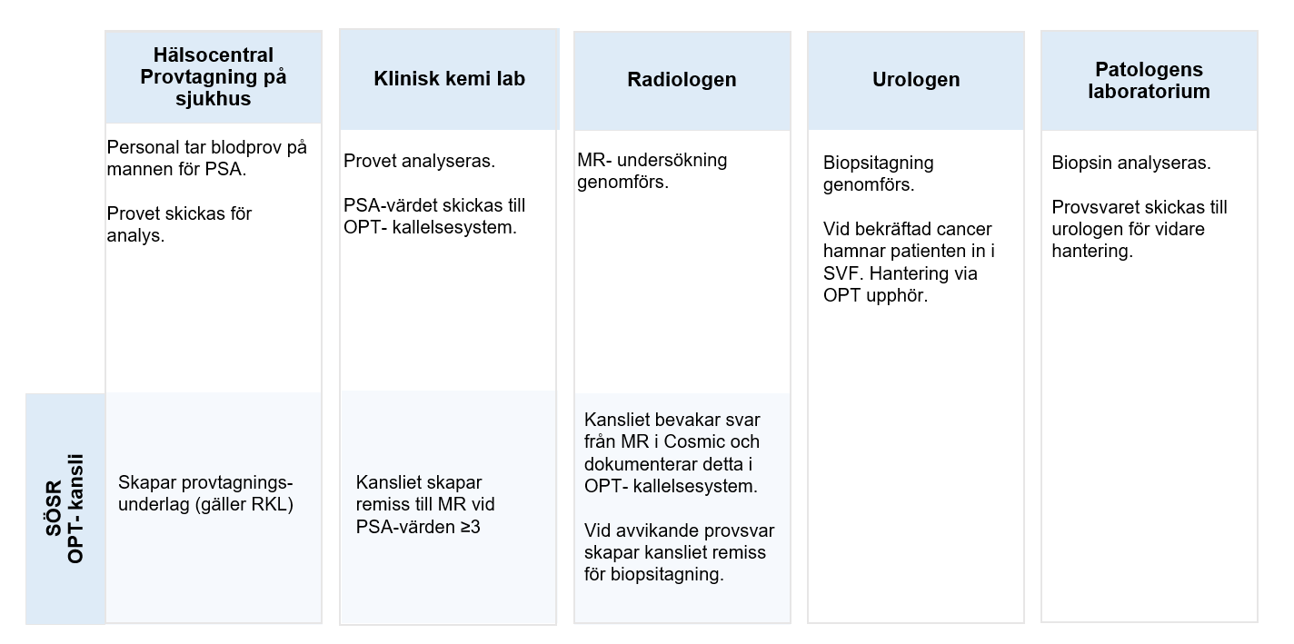 Beskrivning av OPT- processen för vårdpersonal