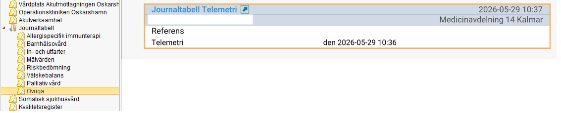 Skärmklipp på ny journalmapp för journaltabeller samt hur journaltabellen ser ut.