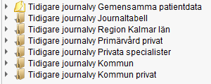 Skärmklipp av journalmappar "Tidigare journalvy..."