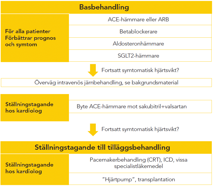 Basbehandling hjärtsvikt