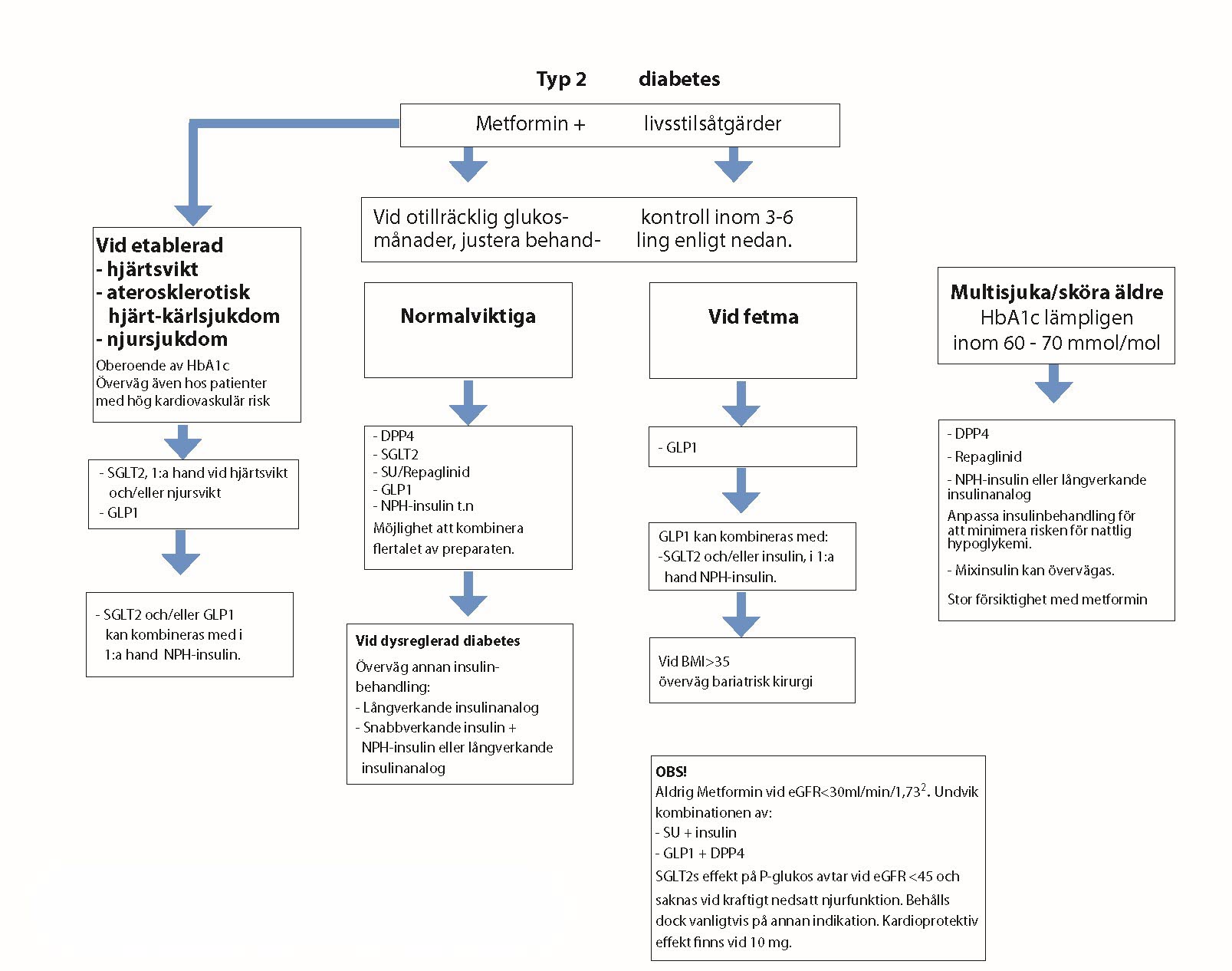 Behandlingsalgoritm, flödesschema behandling typ 2 diabetes