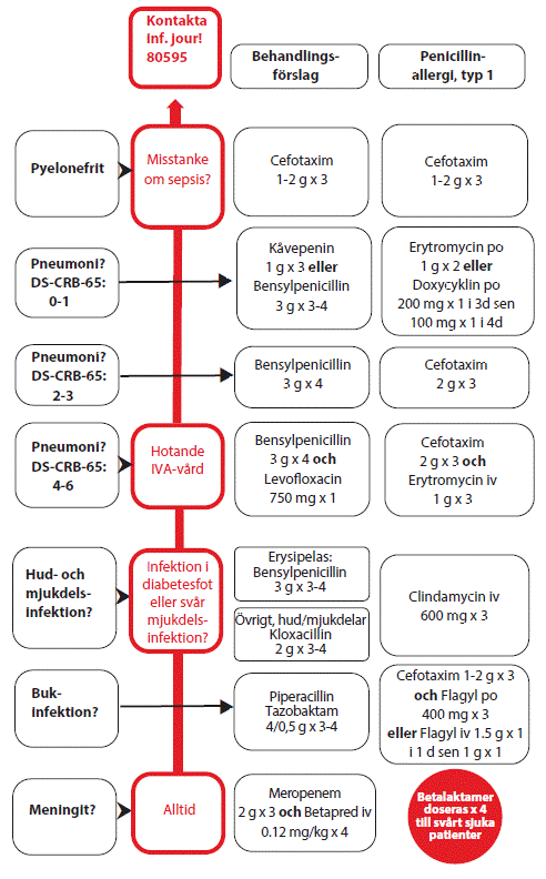 Flödesschema samhällsförvärvade infektioner