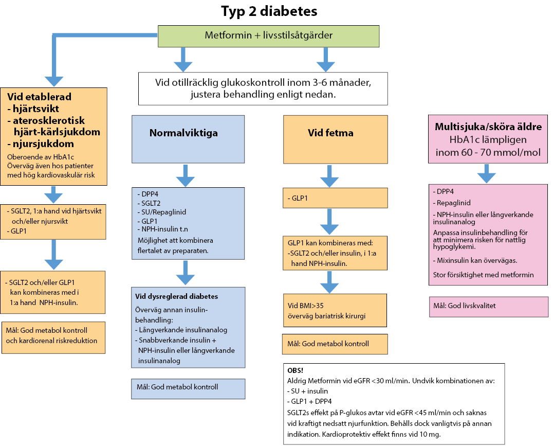 Behandlingsalgoritm, flödesschema behandling typ 2 diabetes